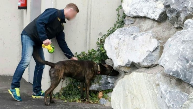 Ein Ermittler mit Spürhund beim Tatort (Bild: APA/Franz Neumayr)