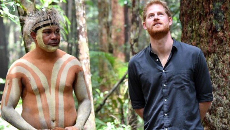 Harry bei seinem Besuch im Urwald von Fraser Island (Bild: AFP)