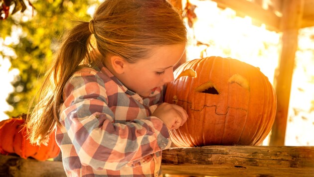 Kürbisse werden rund um Halloween gerne zum Schnitzen gekauft. (Bild: ©detailblick-foto - stock.adobe.com)