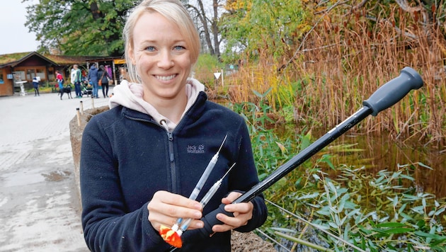 Zoo-Tierärztin Miriam Wiesner betäubte den Steinbock mit dem Narkosepfeil, den sie durch dieses Blasrohr verschoss. (Bild: Markus Tschepp)