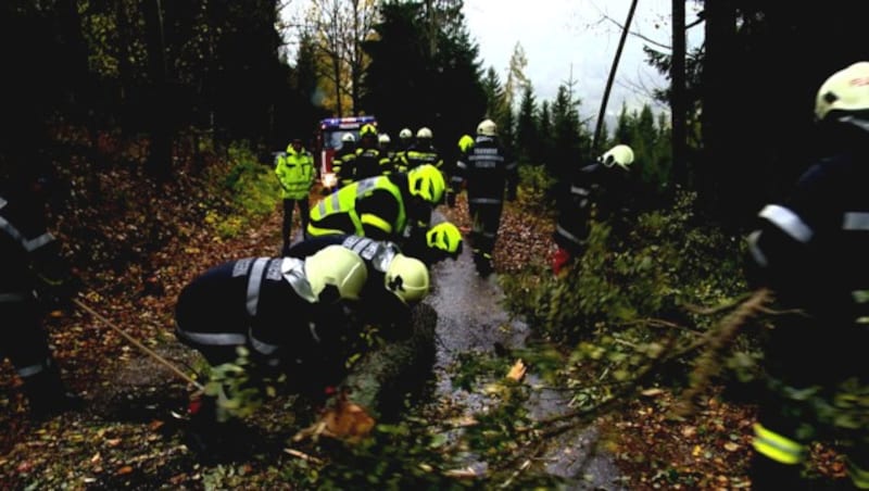 In der ganzen Obersteiermark mussten die unermüdlichen Feuerwehrleute mit Einsätzen wegen umgestürzter Bäume rechnen. (Bild: Sujetbild/BFV Liezen/Schlüßlmayr)