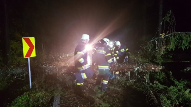 Baum über Köstenberger Landesstraße gestürzt FF Kerschdorf/ Velden (Bild: FF Kerschdorf/ Velden)