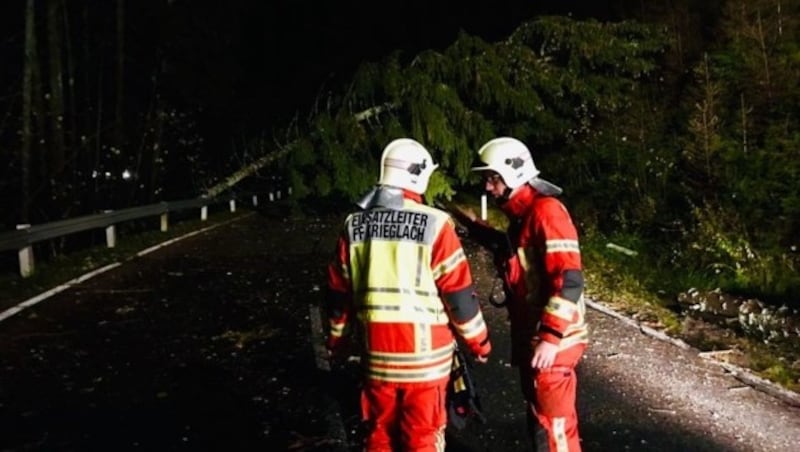 Auf der B72 stürzten Bäume auf die Fahrbahn (Bild: FF Krieglach)