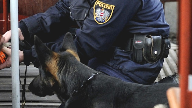 Auch Polizeihunde waren im Sucheinsatz. (Bild: APA/Robert Jäger)