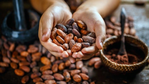 Der Preis für Kakaobohnen hat sich zuletzt vervielfacht. (Bild: stock.adobe.com/stock.adobe.com, krone.at-Grafik)