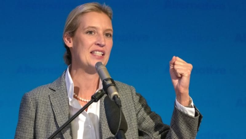 Alice Weidel (Bild: AFP)