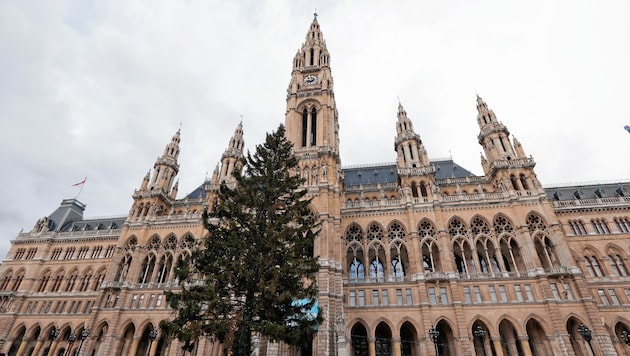 Ein Bild aus dem Vorjahr. Heuer kommt der Christbaum für Wien von der Flattnitz. (Bild: Klemens Groh)