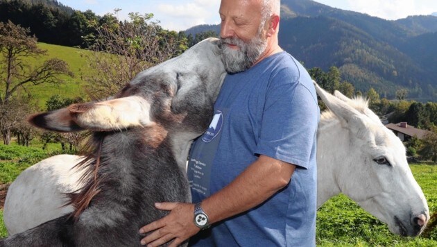 Der Obersteirer Ulrich Kettner hat es sich zum Lebensinhalt gemacht, geschundenen Tieren, speziell den Eseln, zu helfen (Bild: Jürgen Radspieler)