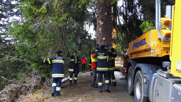 Forstarbeiter und Männer FF Metnitz haben den Baum verladen (Bild: Kirchenforste/Paul Brandstätter)