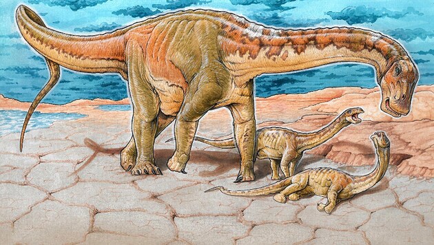 Illustration: So könnte die neu entdeckt Saurier-Art ausgesehen haben. (Bild: Museo Paleontologico Egidio Feruglio/Gabriel Lio)