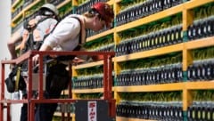 Aufnahme aus einer Bitcoin-Mine in Kanada (Bild: AFP)