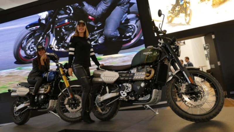 Triumph Scrambler 1200 (Bild: Stephan Schätzl)