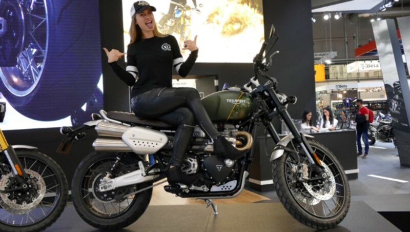 Triumph Scrambler 1200 (Bild: Stephan Schätzl)