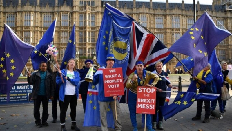 Anti-Brexit-Demonstranten vor dem Parlament in London (Bild: AFP)