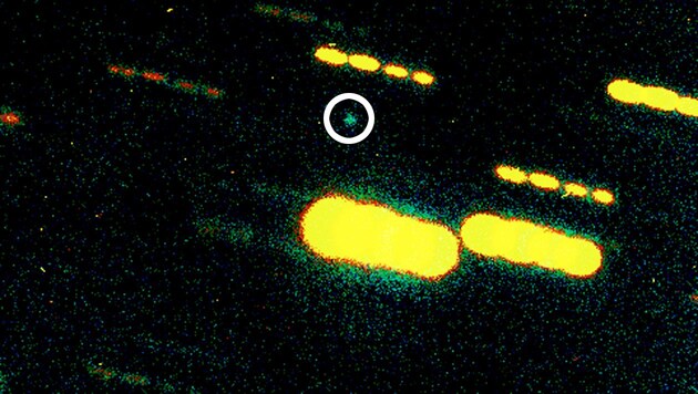 Falschfarbenaufnahme des Kerns von Wirtanen (kleiner grüner Punkt im weißen Kreis) (Bild: ESO)