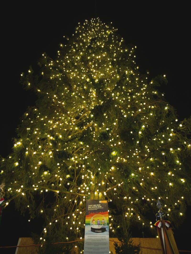 Martin wusste nicht, was ein „Weihnachtsbaum“ ist! (Bild: APA/EXPA/FLORIAN SCHRÖTTER)