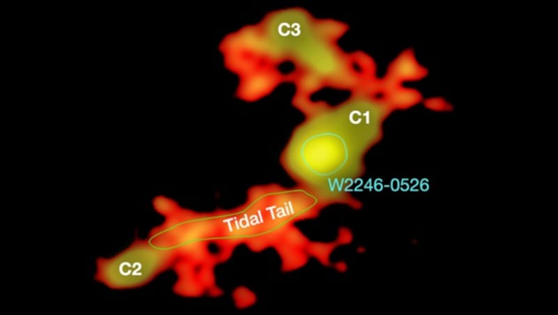 Staub aus den mit C1, C2 und C3 gekennzeichnet Galaxien wird in Richtung W2246-0526 gesaugt. (Bild: T. Diaz-Santos et al.; N. Lira; ALMA (ESO/NAOJ/NRAO))
