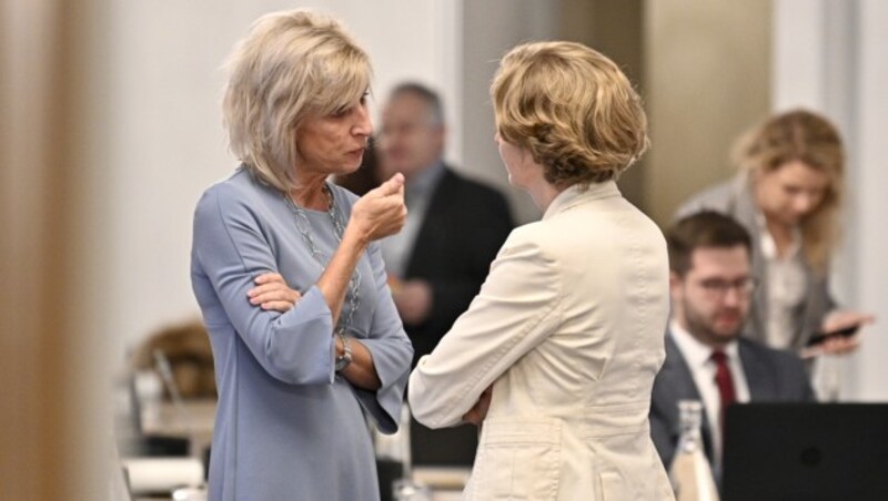 Gabriela Schwarz (li.), Stephanie Krisper (re.) (Bild: APA/HANS PUNZ)