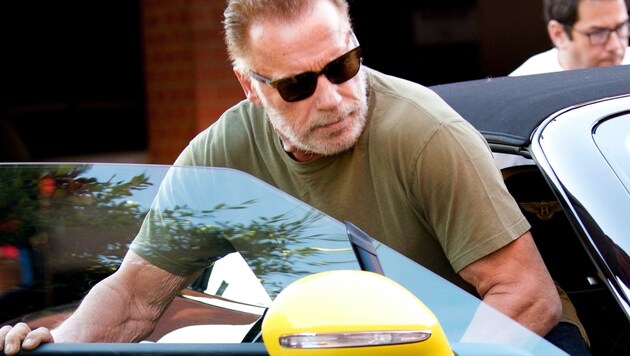Arnold Schwarzenegger (Bild: www.PPS.at)