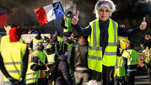 Die Protestbewegung der „Gelben Westen“ erhält Unterstützung von der ehemaligen Schauspielerin Brigitte Bardot. (Bild: APA/AFP/CHARLY TRIBALLEAU, twitter.com, krone.at-Grafik)
