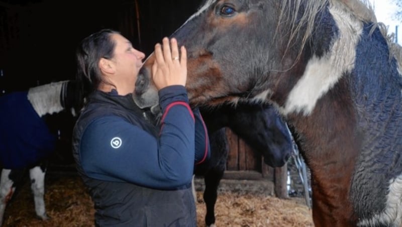 Der Seelentröster: „Mein Pferd weiß immer, wie es mir geht.“ (Bild: Fulterer Claudia)