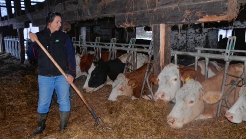 Egal was alles passiert, „unsere Tiere müssen gut versorgt sein. Das schulden wir ihnen.“ (Bild: Fulterer Claudia)