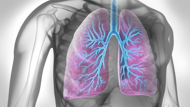 Das sogenannte SARI-Dashboard - SARI steht für „schwere akute respiratorische Infektionen“ - bildet ab, wie viele Menschen sich wegen einer solchen Infektionskrankheit in Spitalsbehandlung begeben müssen. (Bild: peterschreiber.media/stock.adobe.com)