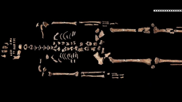 Das Skelett der Heiligen vom Hemmaberg. Die Frau war zwischen 35 und 50 Jahre alt und lebte im 1. oder 2. Jahrhundert. (Bild: ÖAW/ÖAI/N. Gail)