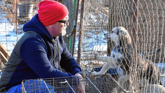 DJ Ötzi überwand seine Angst und half heimat- und herrenlosen Hunden in Bukarest. (Bild: Kerstin Joensson)