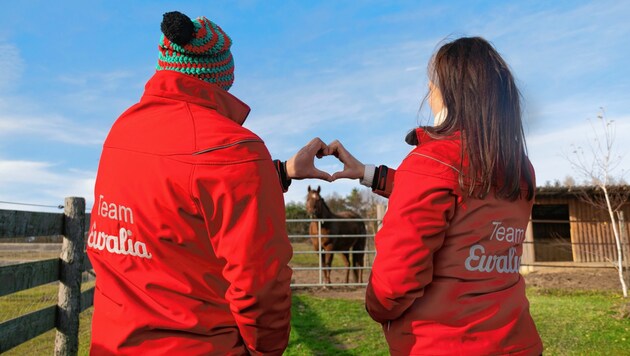 Herz für Tiere: Mit Gewinnspielen auf Facebook und Instagram sammelt Ewalia Geld für die Tierhilfe Horsearound. (Bild: Michael Fraller)