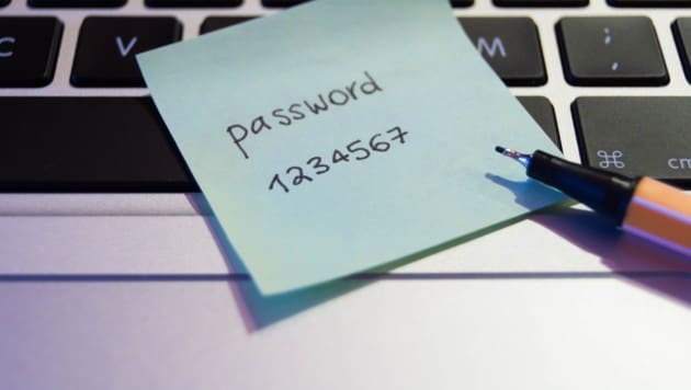 So ein einfaches Passwort hatte die Mama offenbar nicht am Handy. (Bild: ©Sabrina - stock.adobe.com)