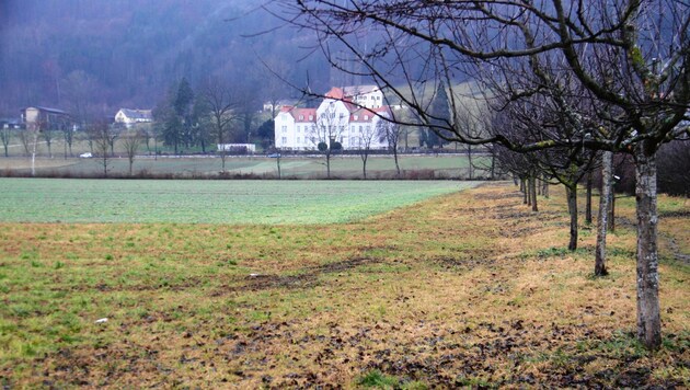 Landwirtschaftsschule Grottenhof: 18 „Mille“ für einen Acker. (Bild: Jauschowetz Christian)