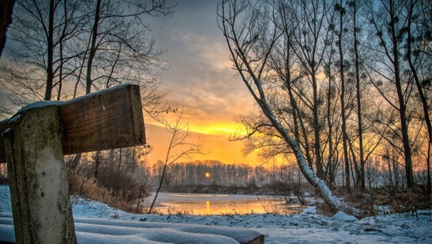 Eine winterliche Uferlandschaft - schön, aber von Nutzungen bedroht. (Bild: Zobl Michael, Au an der Donau)