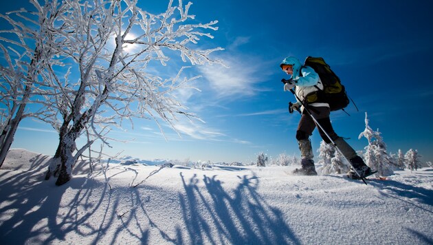 Der Großteil – 78 Prozent der Nächtigungen der bisherigen Wintersaison geht dabei auf Gäste aus dem Ausland zurück. (Bild: ©Maygutyak - stock.adobe.com (Symbolfoto))