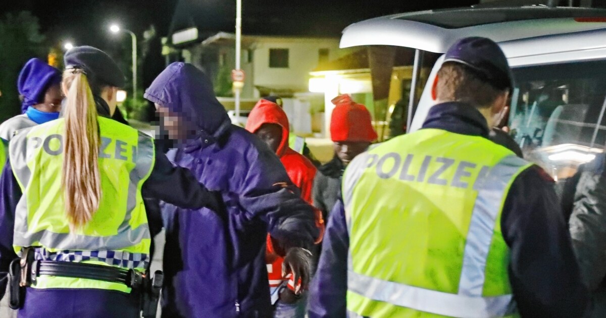 Minus in Tirol, aber: - Illegale Migration macht keine ...