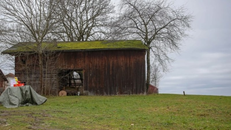 Auf dieser Wiese nahe dem Holzgebäude kam es zu dem tödlichen Unglück. (Bild: Pressefoto Scharinger © Daniel Scharinger)