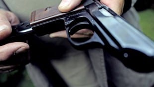 Die Grünen wollen ein Rückgabeprogramm für Waffen, die nicht registriert sind, weil sie z.B. ...