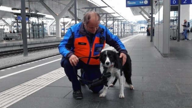 Ein ÖBB-Mitarbeiter am Salzburger Hauptbahnhof mit dem „eingefangenen“ Vierbeiner. (Bild: ÖBB)