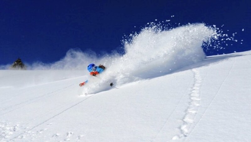 Der steirische Skitour-Veteran Paul Sodamin in seinem Element, dem Pulverschnee. Dieser Tage warnt aber auch er eindringlich vor dem unbedachten Gang ins freie Gelände. (Bild: Paul Sodamin)