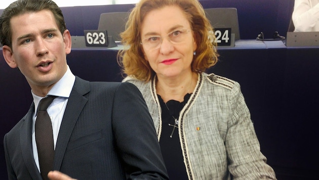 Die rumänische EU-Mandatarin Maria Grapini greift Kanzler Kurz an. (Bild: APA/Herbert Neubauer, twitter.com, krone.at-Grafik)