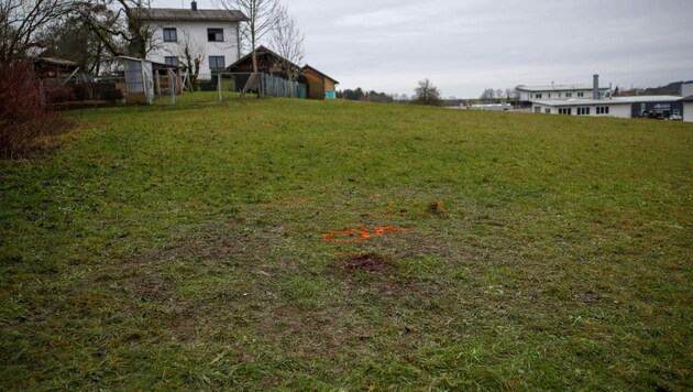 Auf diesem Areal in Eberschwang hatte der 17-Jährige die tödliche Kugelbombe gezündet (Bild: Pressefoto Scharinger © Daniel Scharinger)