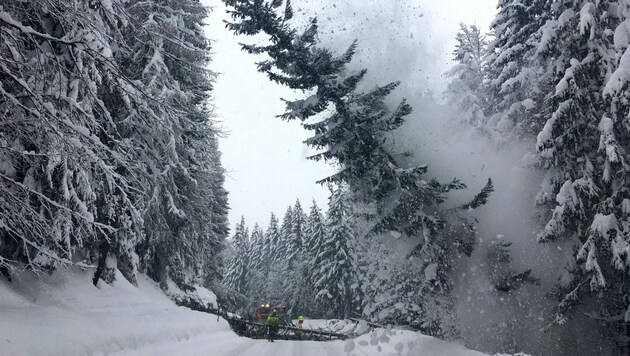 Umgestürzte Bäume und Glatteis, dazu Schneedruck machten in Oberösterreich Probleme (Bild: APA/STRM BAD ISCHL/LAND OÖ)