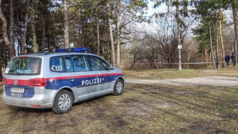 Ein Polizeiauto in der Nähe des Fundortes der Leiche in Wiener Neustadt (Bild: APA/EINSATZDOKU/LECHNER)