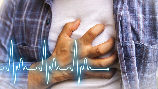 Neben Stress, Bluthochdruck und erhöhten Blutfetten kann auch Übergewicht ein Risikofaktor für Herz-Kreislauf-Erkrankungen sein. (Bild: hriana/stock.adobe.com)