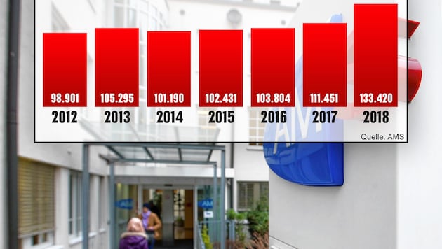 (Bild: Neumayr/MMV, AMS, krone.at-Grafik)