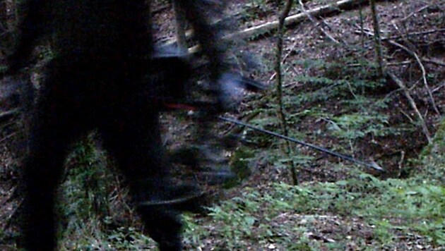 Ein Wilderer mit Pfeil und Bogen tappte in die Kamerafalle. (Bild: Pachner Jürgen/Kronenzeitung)