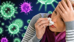 Ein lokaler Influenza-Ausbruch wurde bereits in Kroatien festgestellt. Das Virus trifft Corona-Risikogruppen besonders. (Bild: stock.adobe.com, krone.at-Grafik)