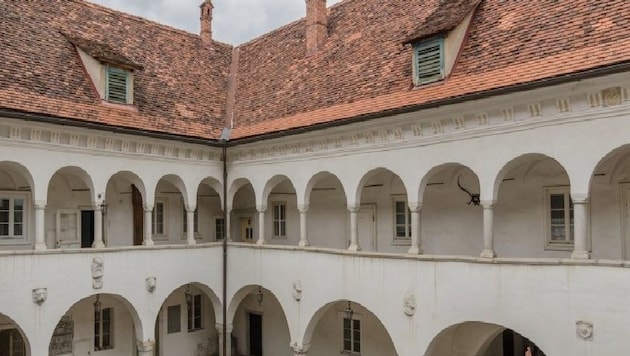 Über den Preis von Schloss Bayerhofen hält man sich bedeckt. (Bild: Bolesch Immobilien)