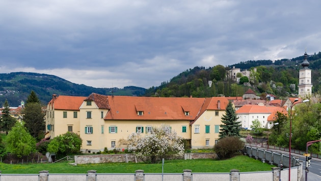Im Süden und Westen von Schloss Bayerhofen in Wolfsberg befindet sich ein privater, rund ein Hektar großer Park, der von einer Mauer umringt ist. (Bild: Bolesch Immobilien)