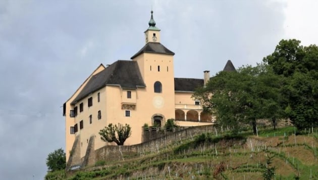Oberhalb von Wolfsberg in der Nähe von Sankt Marien, umgeben von Weingärten, thront Schloss Thürn. (Bild: immobilien-kitz.com)